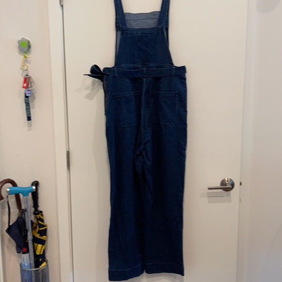 Blue Jean Jumpsuit - Picture 8 of 15